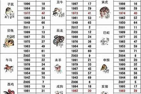 71年次屬狗|属狗的出生年份表年龄